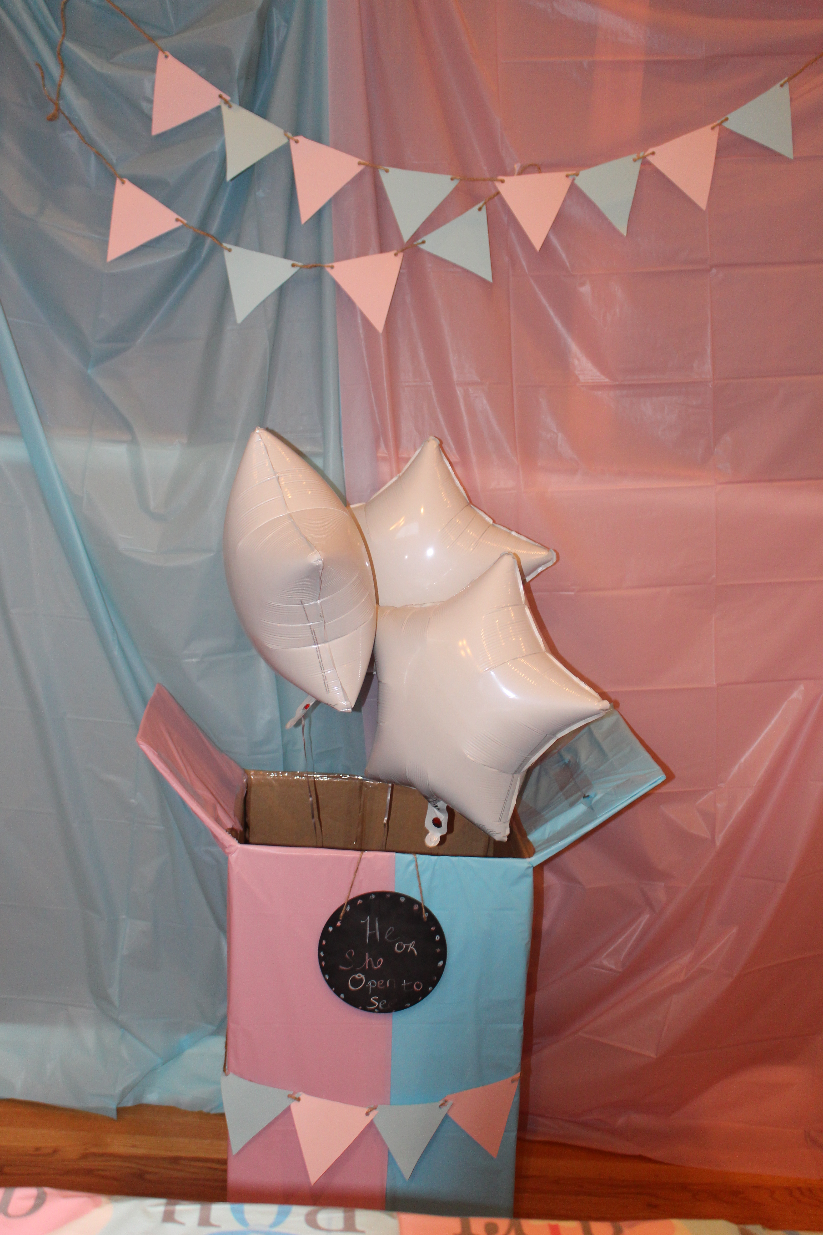 We Haven’t Found Out the Gender Reveal