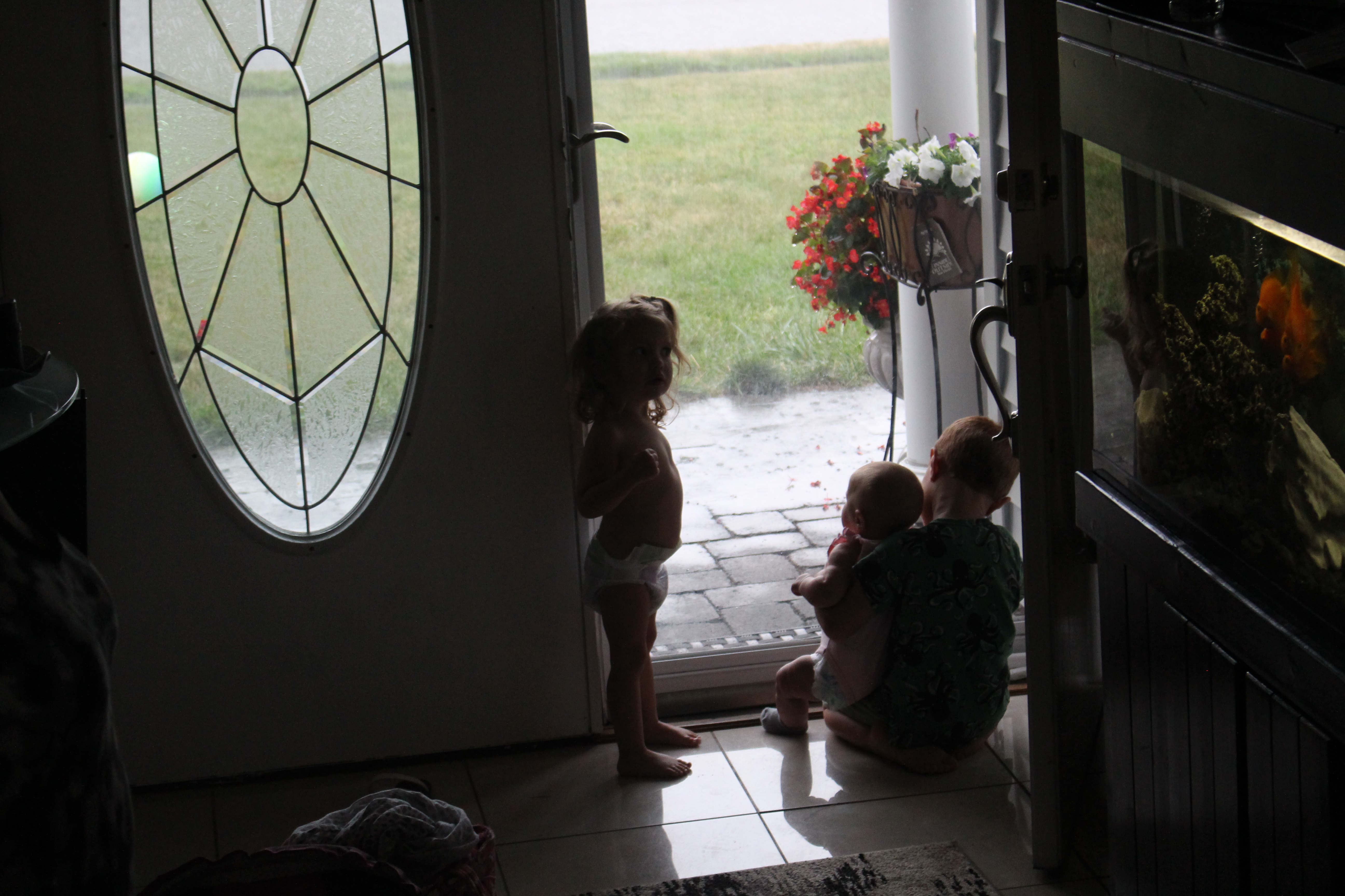 Daisy Singing in the Rain