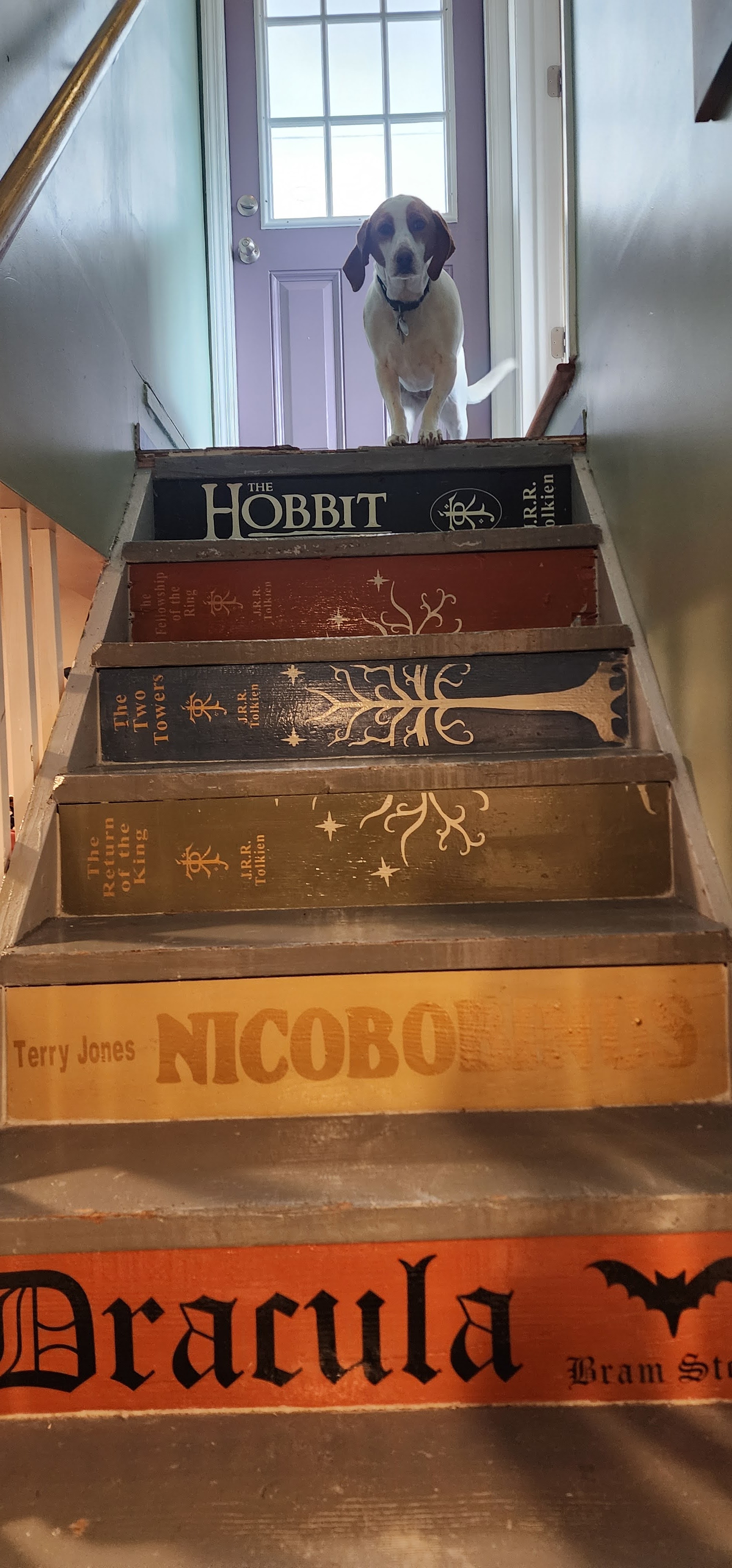 My Book Staircase